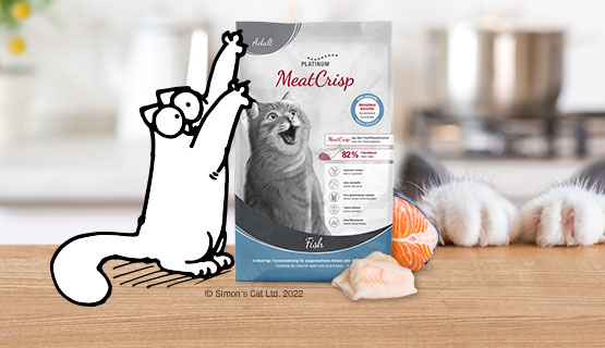 Aliments secs pour chats au goût de poisson